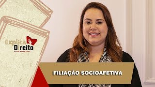 Explica Direito Filiação Socioafetiva  2019 [upl. by Serra765]